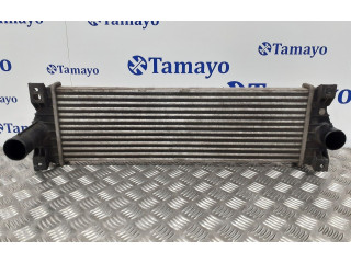 Интеркулер 621970, 2371109050 SsangYong Kyron