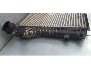 Интеркулер 1K0121253AA Skoda Yeti (5L)