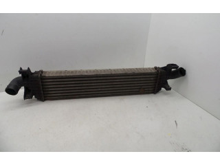 Интеркулер 30741046, 30741046 Volvo S40