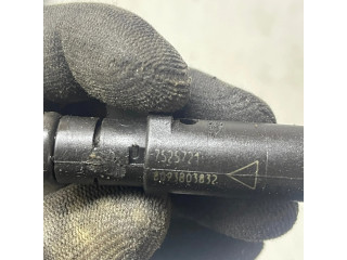 Форсунка 7525721, 8093303832 BMW X5 E70 для бензинового двигателя 4.8