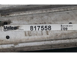 Интеркулер Seat Ibiza III (6L)