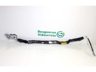 Подушка безопасности двери 3D1880742C   Volkswagen Phaeton