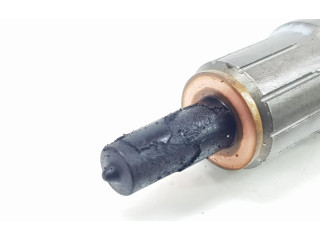 Форсунка 8599209, 13538599209 BMW X3 G01