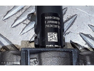 Жиклер (жиклеры) (форсунка (форсунки)    9688438580, ejbr06001d   Citroen C5