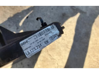 Вентилятор радиатора     13123734, 3PINOS    Opel Combo C 