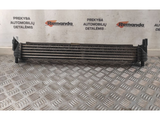 Интеркулер  R4642004, R4642004   Seat Ibiza IV (6J,6P) 