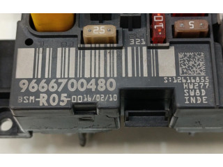   Pojistková skříňka 9666700480   Citroen Berlingo 2009