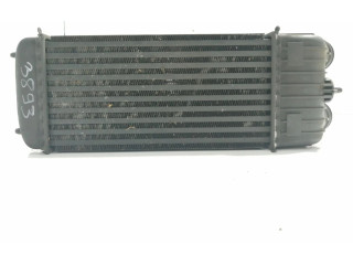 Интеркулер  9651184880   Peugeot 207 