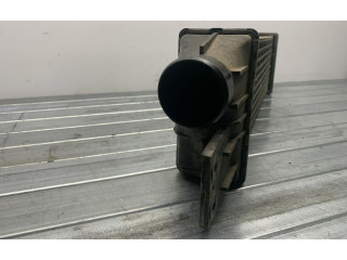 Интеркулер 665925 SsangYong Rexton I