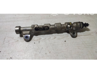 Топливная рампа 55234039, 0445214254   Jeep Cherokee  