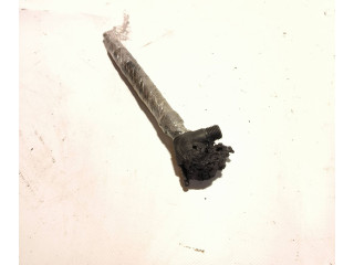 Форсунка Skoda Karoq