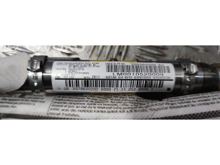 Боковая подушка безопасности 306083099   Mercedes-Benz C W204