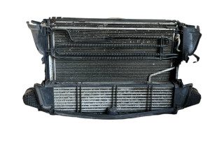 Pojistková skříňka Комплект радиатора A2045000393, 3135103789 Mercedes-Benz C W204 2012