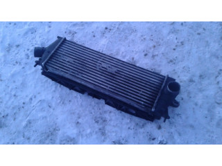 Зеркало (управляемое электричеством) 8200411160   Renault Trafic II (X83)