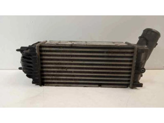 Интеркулер 9646694680, 30908 Citroen C4 I 2.0