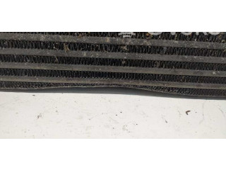 Интеркулер     Fiat Bravo 