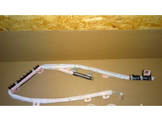 Боковая подушка безопасности    Hyundai Ioniq