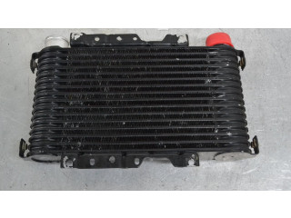 Интеркулер MR552982 Mitsubishi L200