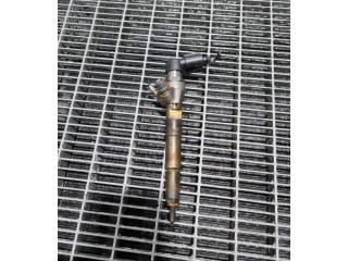 Жиклер (жиклеры) (форсунка (форсунки) H8201100113, 166006212R Dacia Duster