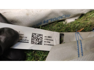 Боковая подушка безопасности 95374841, 631159969 Chevrolet Spark