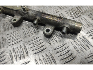 Топливная рампа 0445214019, 03557 Peugeot 406