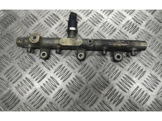 Топливная рампа 0445214019, 03557 Peugeot 406