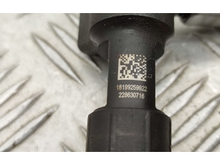 Комплект системы впрыска топлива 9674300080, 9674984080    Ford Kuga II  xrmc 