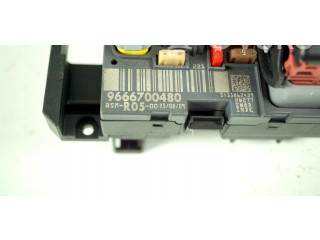 Pojistková skříňka Řídící jednotka BSM 9666700480 Peugeot Partner 2011