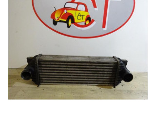 Интеркулер 4999282, 4999282 Ford Transit - Tourneo Connect