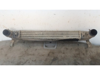 Интеркулер Ford Galaxy 1.8