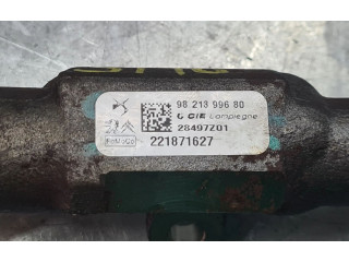 Топливная рампа 9821399680, 221871627   Peugeot Partner III  