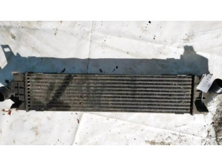 Интеркулер     Ford Galaxy 1.8