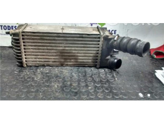 Интеркулер Citroen Berlingo