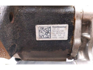 Vstřikovací čerpadlo 3L130755E   Seat Ibiza IV (6J,6P)    CAYC 