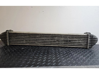 Интеркулер  A1695000000   Mercedes-Benz A W169 