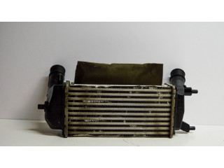 Интеркулер H1BG6K775AC Ford Ecosport 1.0