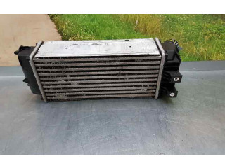 Интеркулер 9800291280, IA2077 Citroen Berlingo 1.6