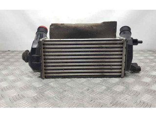 Интеркулер  H1BG6K775AC   Ford Ecosport 