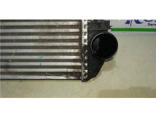 Интеркулер     Ford Transit -  Tourneo Connect 