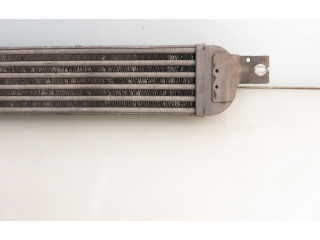 Интеркулер 52401015, 52401015 Opel Meriva A