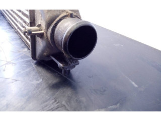 Интеркулер  P2-B10-1   Fiat Doblo 