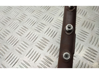 Комплект системы впрыска топлива 5WS40694, Bk2q9k546ag Ford Transit Custom cvff