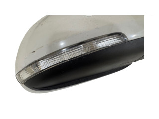 Зеркало (управляемое электричеством) E1020989   Skoda Octavia Mk2 (1Z)