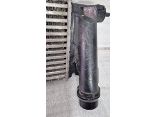 Интеркулер     Renault Dacia Duster 