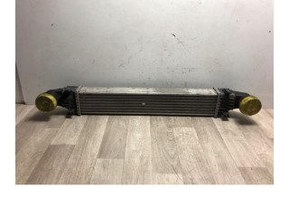 Интеркулер  2115001102, 2115001102   Mercedes-Benz E AMG W211 