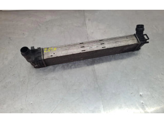 Интеркулер  8200880552, 1100229446   Dacia Duster 