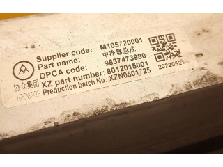 Интеркулер 9837473980, 9840964180 Citroen C5 X