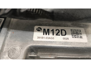 Řídící jednotka 391B103AG0, 391B503AG0 Hyundai Kona I 2021