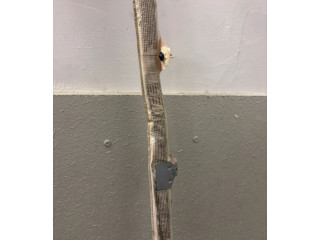 Надувная подушка для крыши       Porsche Cayenne (9PA)