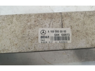 Интеркулер  A16950000   Mercedes-Benz ML W164 